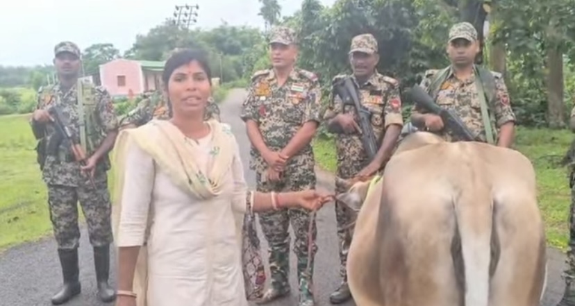 বিজিবি-বিএসএফ ও খোয়াই পুলিশের চমৎকার সমন্বয়….খোয়াই নদীতে ভেসে আসা ভারতীয় গাভী ফেরত
