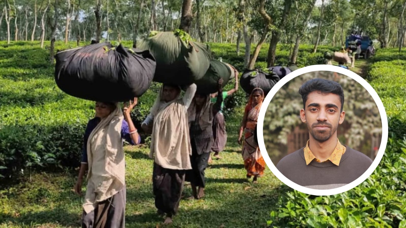 লো ঝিঙা ফুল, ঘণ্টাটা কলিজায় মারে বাড়ি