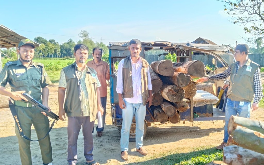 চুনারুঘাটে ‘স’ মিলে অভিযান: প্রায় সাড়ে ৩৪ ঘনফুট অবৈধ কাঠ জব্দ