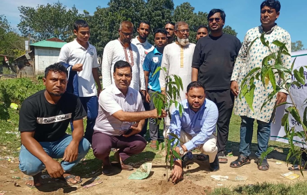 চুনারুঘাটে দক্ষিণা চরণ পাইলট উচ্চ বিদ্যালয় মাঠে ছায়া ও সৌন্দর্য বৃদ্ধিতে ১০০ দেবদারু গাছ রোপণ
