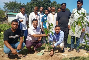চুনারুঘাটে দক্ষিণা চরণ পাইলট উচ্চ বিদ্যালয় মাঠে ছায়া ও সৌন্দর্য বৃদ্ধিতে ১০০ দেবদারু গাছ রোপণ