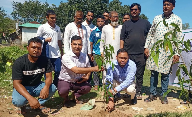 চুনারুঘাটে দক্ষিণা চরণ পাইলট উচ্চ বিদ্যালয় মাঠে ছায়া ও সৌন্দর্য বৃদ্ধিতে ১০০ দেবদারু গাছ রোপণ