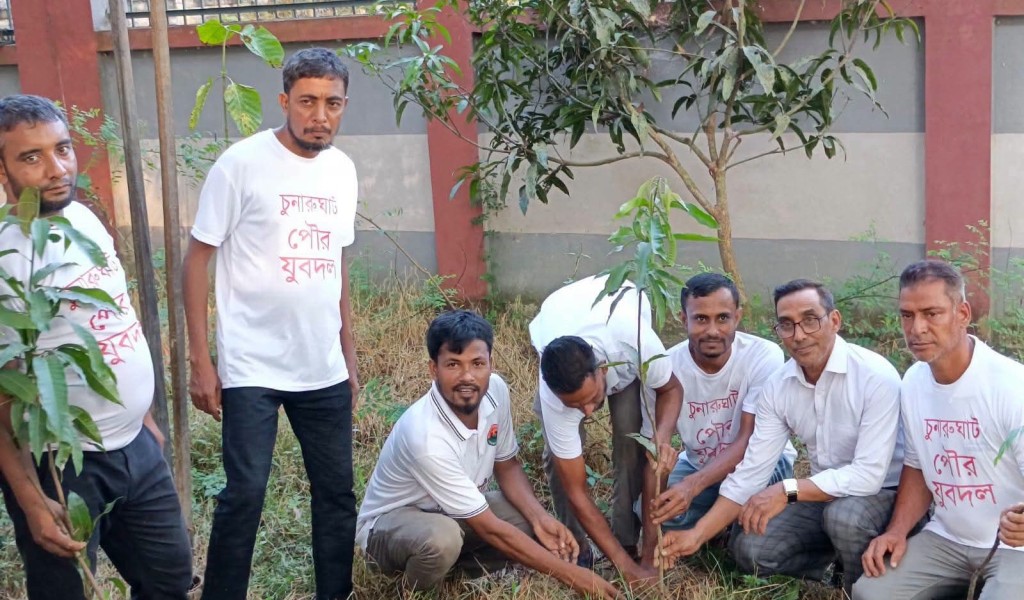 চুনারুঘাট পাইলট বালিকা বিদ্যালয়ে পৌর যুবদলের বৃক্ষরোপণ কর্মসূচি